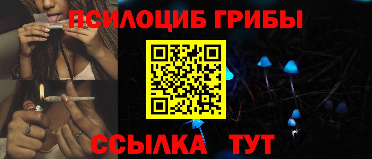Малгобек  Псилоцибиновые грибы GOLDEN TEACHER  наркота  Вход с VPN  Галлюциногенные грибы Psilocybe 